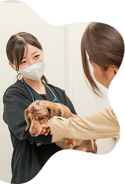 イメージ画像
